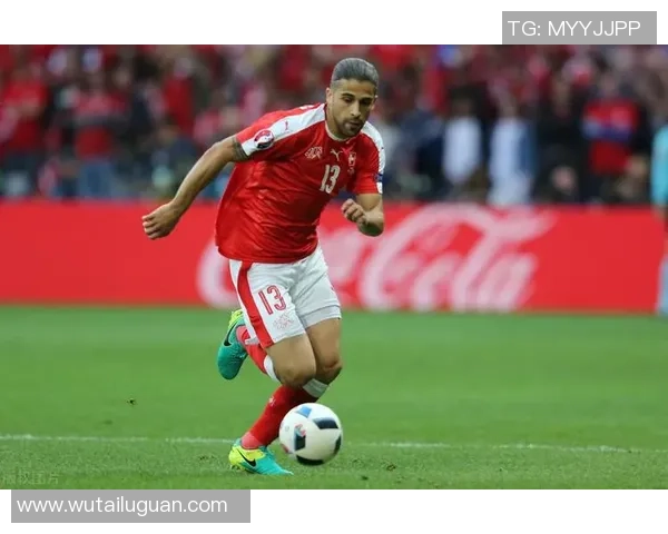 里尔与南特实力对比分析哪支球队更具竞争力与潜力