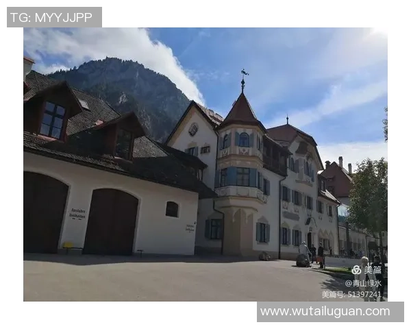 德国与奥地利精彩对决视频直播全程回放与分析