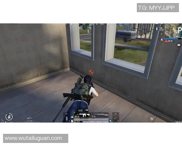 和平精英战术解析：深入探讨LNG团队的控制体系与战术运用