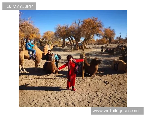 与刘静畅谈DOTA2职业生涯的起伏与梦想追逐