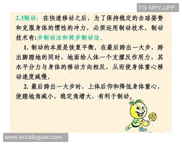 成都排球队战术解析：构建高效控制体系的实践与思考