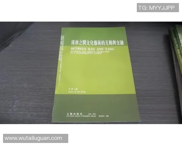 阿根廷与伊拉克的精彩对决揭示足球魅力与文化交融的无限可能