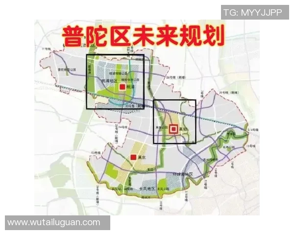 上海排球队整体压制表现分析与未来发展方向探讨 上海排球队整体压制表现分析与未来发展方向探讨